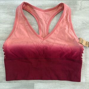 Victoria's Secret Ombre Pink and Red Sports Bra